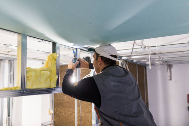 Types of Insulation We Offer in Bellwood, VA