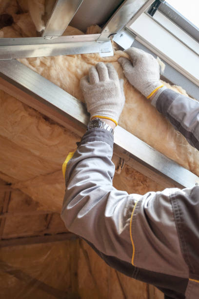 Best Spray Foam Insulation in Bellwood, VA