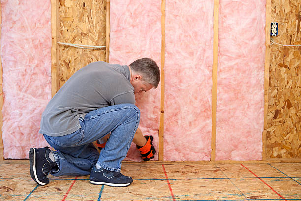 Best Residential Insulation in Bellwood, VA