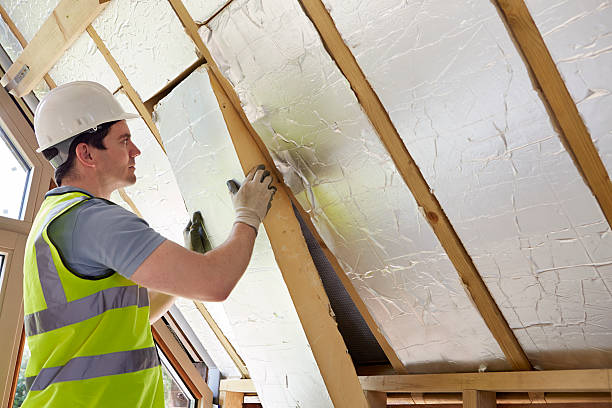 Best DIY Insulation Kits and Guidance in Bellwood, VA