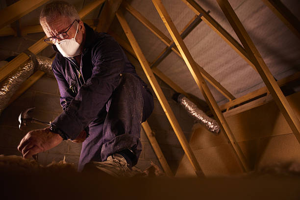 Trusted Bellwood, VA Insulation Contractor Experts