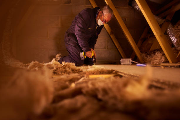 Best Commercial Insulation in Bellwood, VA