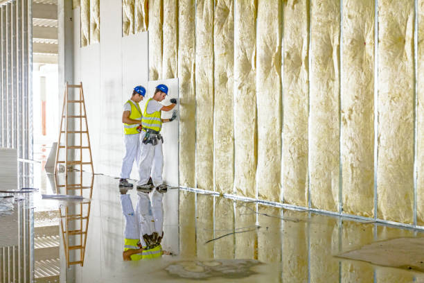Best Insulation for Specific Applications in Bellwood, VA